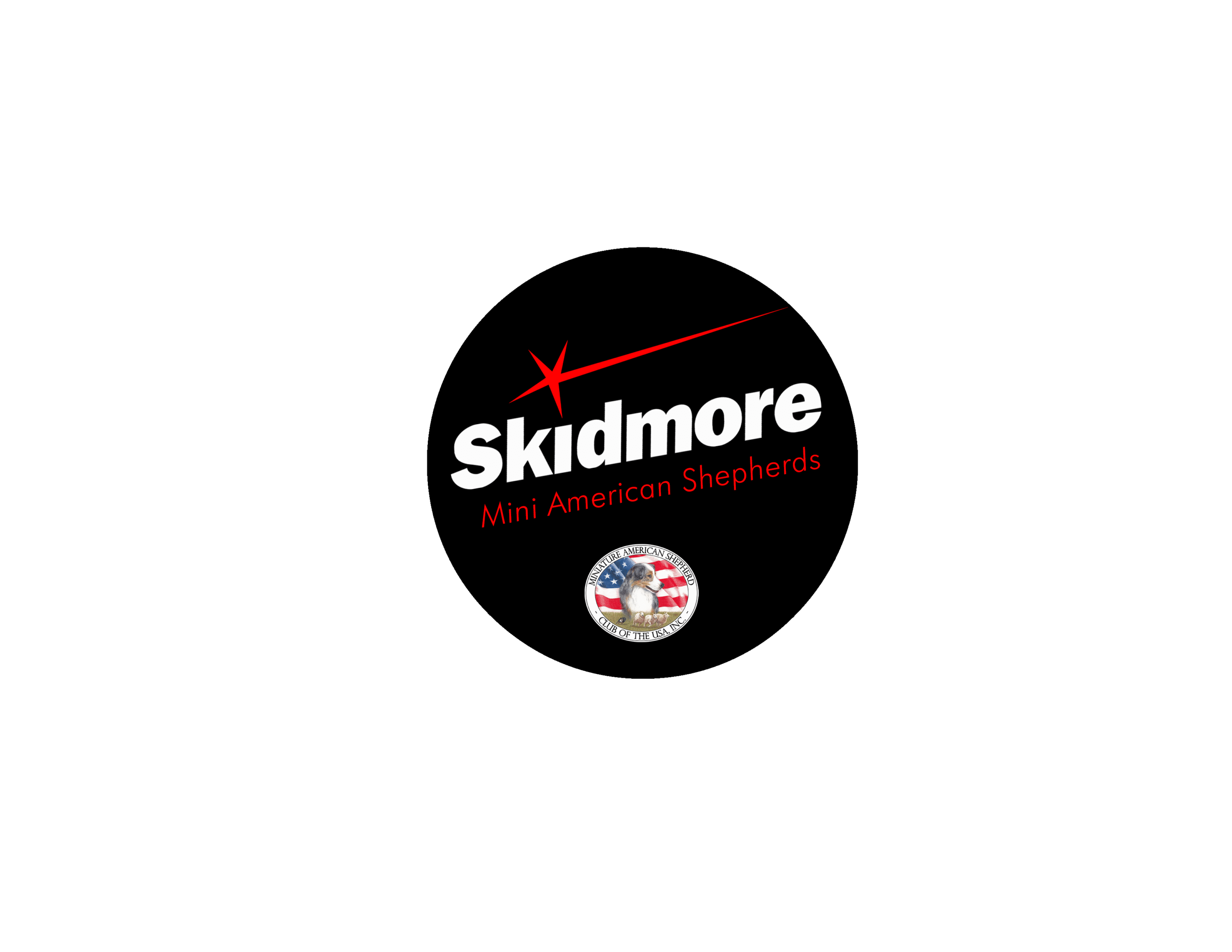 Skidmore Mini American Shepherds